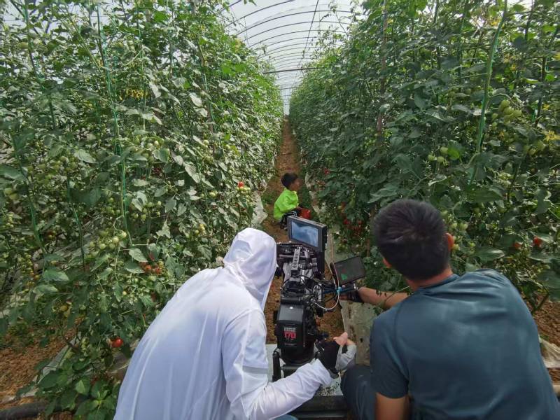 宁德产品宣传视频拍摄公司进阶指南，助力品牌抢占传播高地